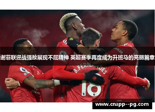 谢菲联迎战强敌展现不屈精神 英超赛季再度成为升班马的亮丽篇章