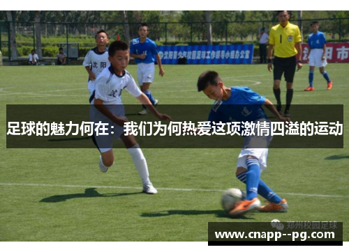 足球的魅力何在:我们为何热爱这项激情四溢的运动 足球的魅力何在:我们为何热爱这项激情四溢的运动