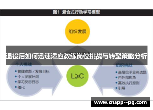 退役后如何迅速适应教练岗位挑战与转型策略分析
