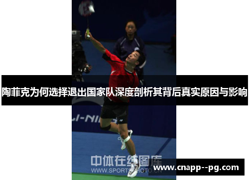 陶菲克为何选择退出国家队深度剖析其背后真实原因与影响 陶菲克为何选择退出国家队深度剖析其背后真实原因与影响