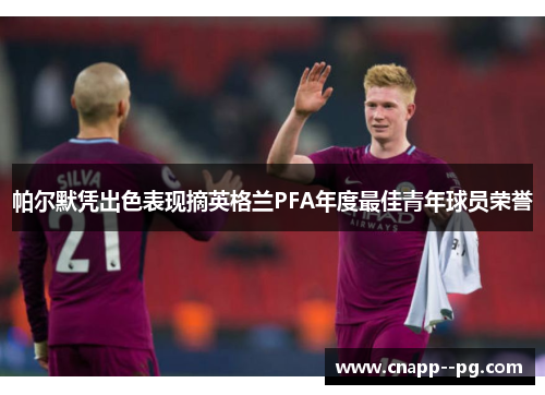 帕尔默凭出色表现摘英格兰PFA年度最佳青年球员荣誉