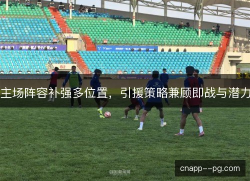 主场阵容补强多位置，引援策略兼顾即战与潜力